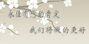 用户给与的永佳软件的评语