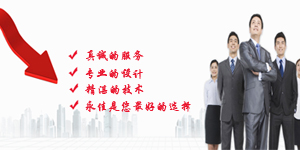 真诚的服务，专业的设计，精湛的技术