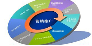 网站的网络营销策略