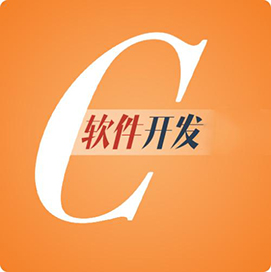 软件定制开发的意义何在