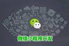 APP微信小程序开发